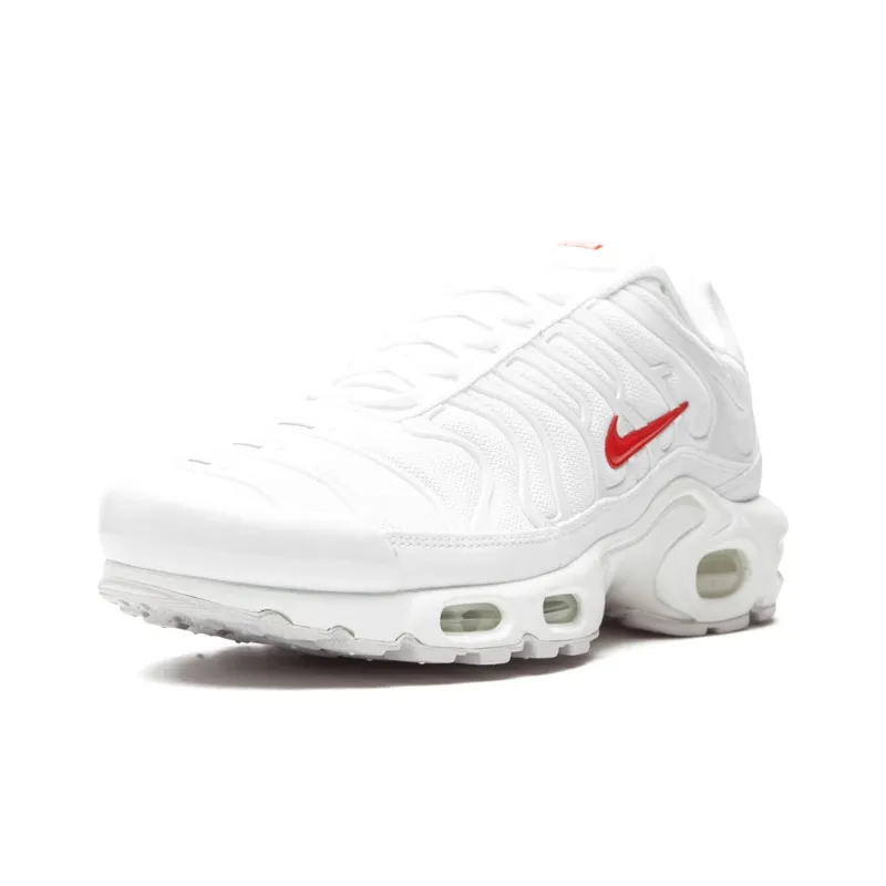 Nike Air Max Plus Supreme White-1