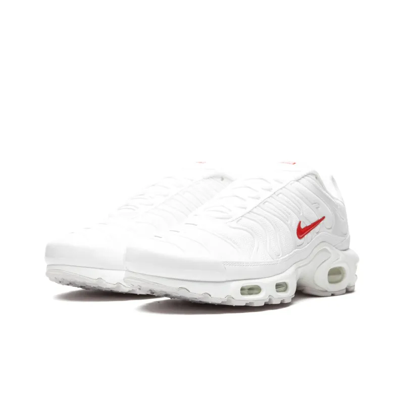 Nike Air Max Plus Supreme White-2
