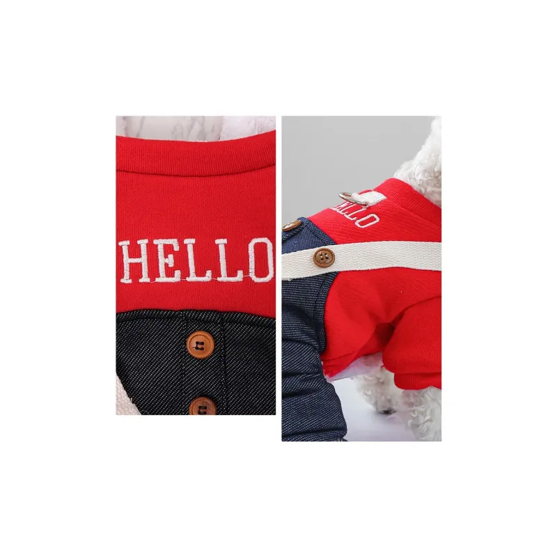 Pampering Pet Clothing-21