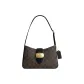 Bag+Dust Bag