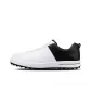 White & Black Color Scheme