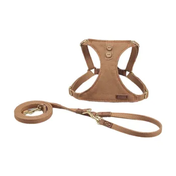 Puppytie Leashes