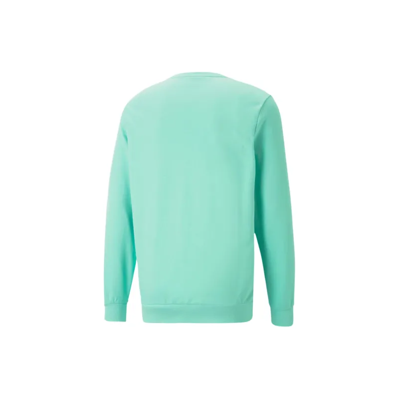 PUMA Summer Splash Crew Neck Men's Sweatshirt Sweatshirt Men's Mint-1