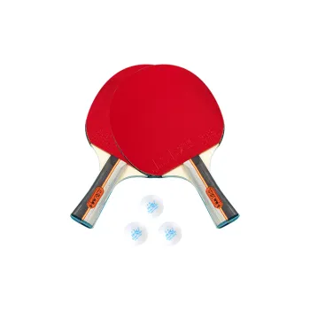 DOUBLE FISH Ping Pong Paddles