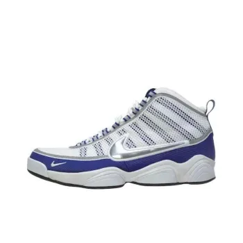 Nike Zoom Don Silver Concord