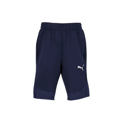 PUMA TEAMFINAL Sports Shorts Men Navy Blue