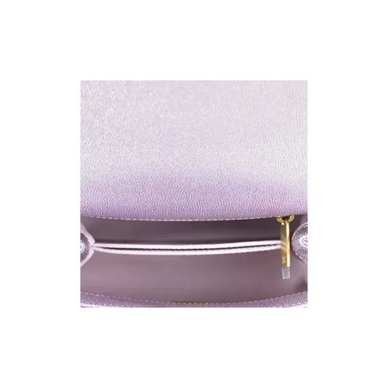 CHANEL Coco Handle Grain Embossed Caviar Calfskin Handbag, Shoulder Bag, Crossbody Bag Mini Women's Pink Purple-4