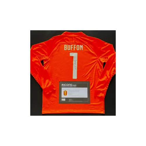 ICONS.com Fabric Fong Italy Version 14-15 Season Jersey Includes Certification Certificate Not Framed