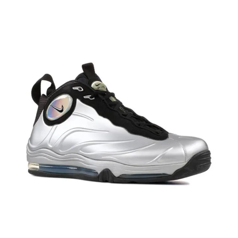 Nike Total Air Foamposite Max Metallic Silver 2011-1