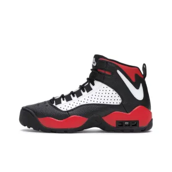 Nike Air Darwin Bulls
