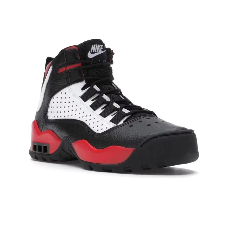 Nike Air Darwin Bulls-2