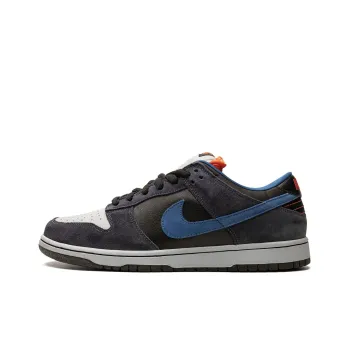 Nike Sb Dunk Low Patagonia