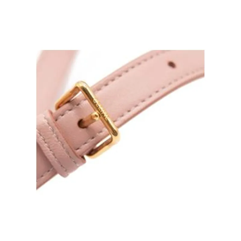 CELINE Leather Camera Bags Crossbody Bag Shoulder Bag Women's Pink-10