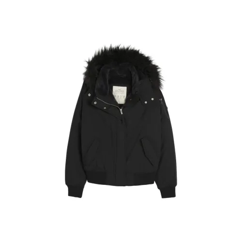 Hollister Jackets Women's Black