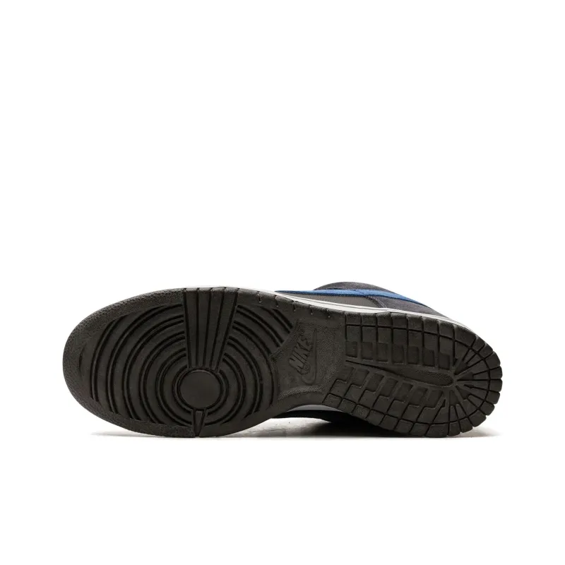 Nike Sb Dunk Low Patagonia-4