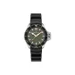 Green Dial H77455360