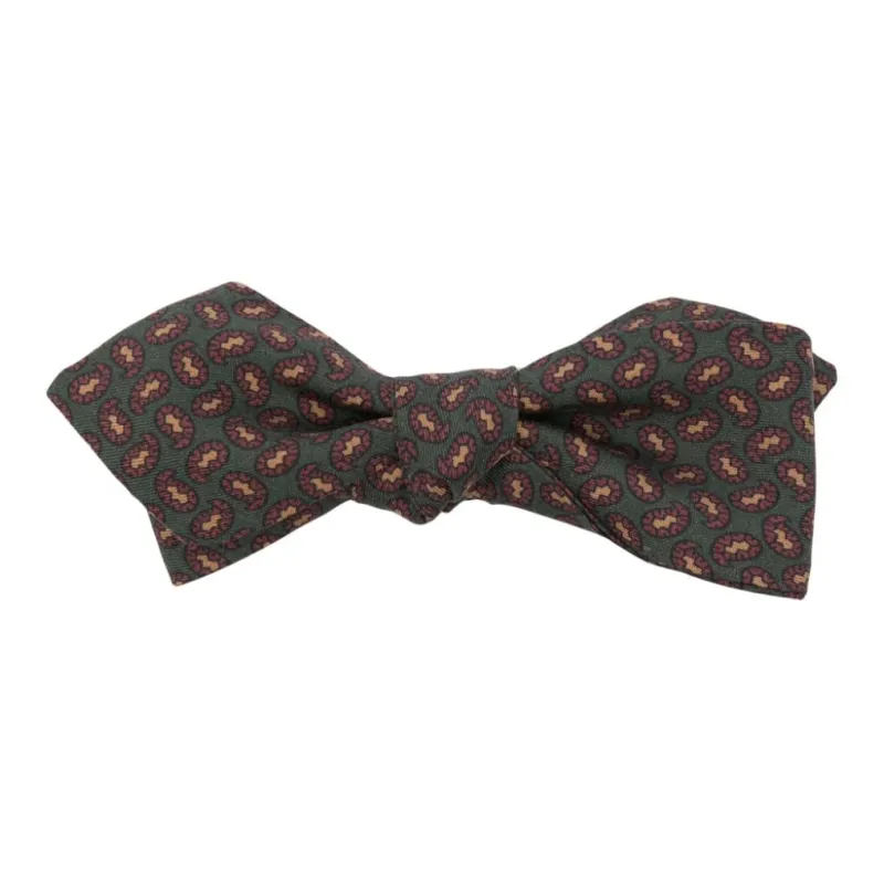 Polo Ralph Lauren Graphic-print Silk Bow Tie-0