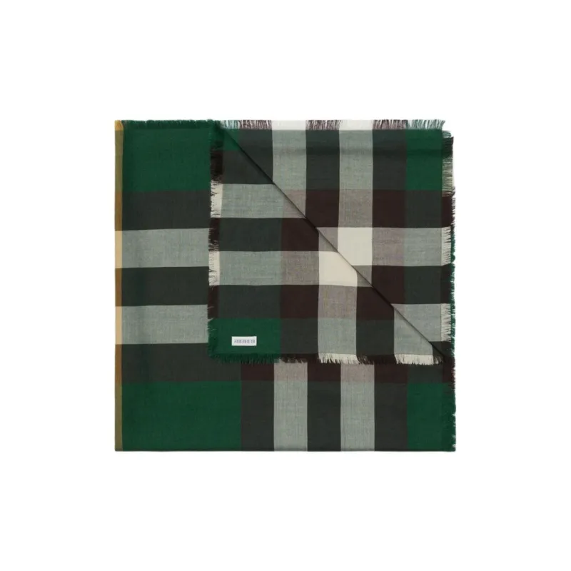 Burberry Check-Printed Frayed-Edge Scarf-1