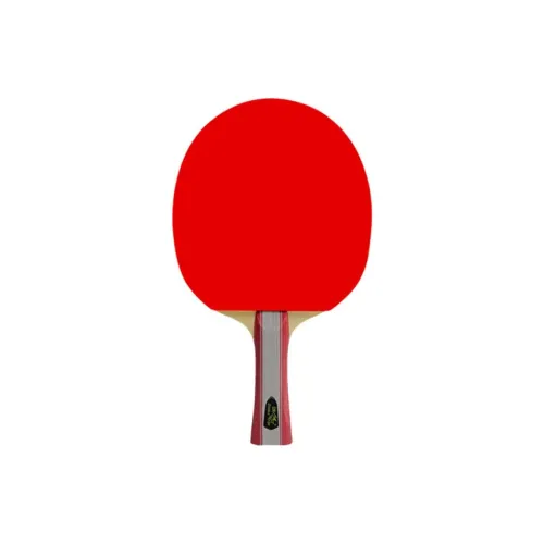 DOUBLEFISH J1 Ping Pong Paddles Kids' All Wood