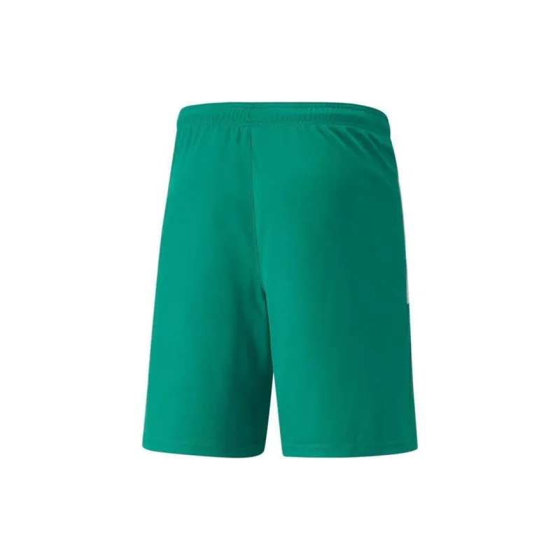 PUMA TeamLIGA Men's Soccer Shorts-1