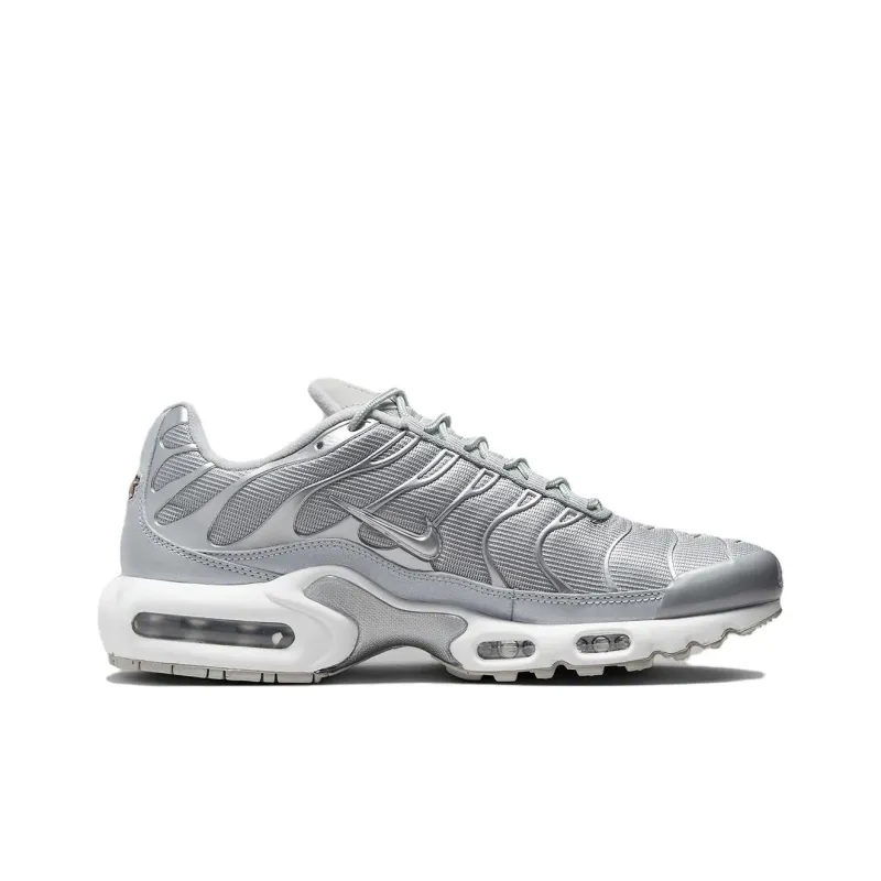 Nike Air Max Plus Metallic Silver-1