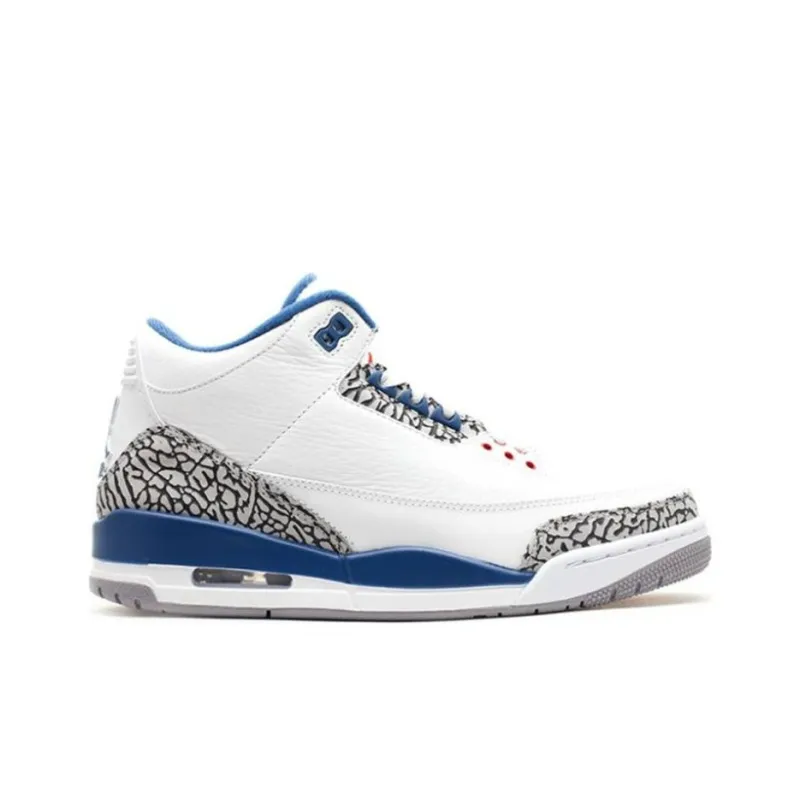Jordan 3 Retro True Blue 2011-1