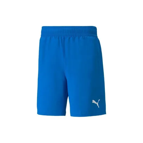 PUMA TEAMFINAL Sports Shorts Men Blue