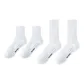 2 Medium White 2 Long White