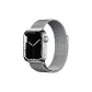 Apple Magnetic Mesh Strap-Silver