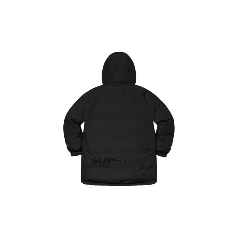 Supreme GORE TEX 700 Fill Down Parka FW20-1