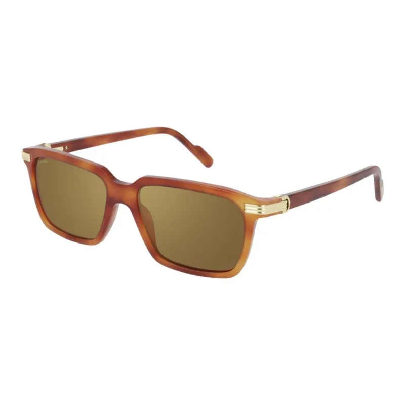 CARTIER Irregular Shape Sunglasses Men's Tortoiseshell-1