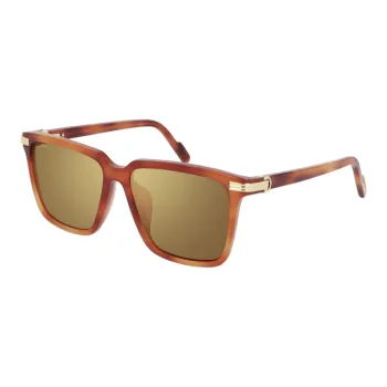 CARTIER Irregular Shape Sunglasses Men's Tortoiseshell