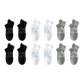 Black/Black/White/White/Light Heather Gray/Light Heather Gray 9497
