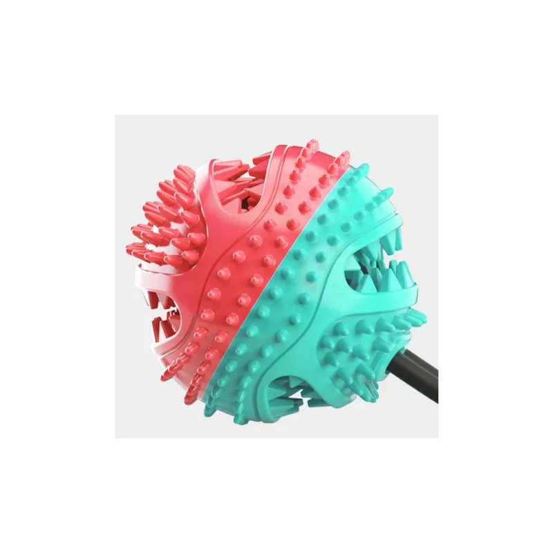 Pampering Pet Toys-5
