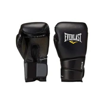 Everlast Boxing Gloves