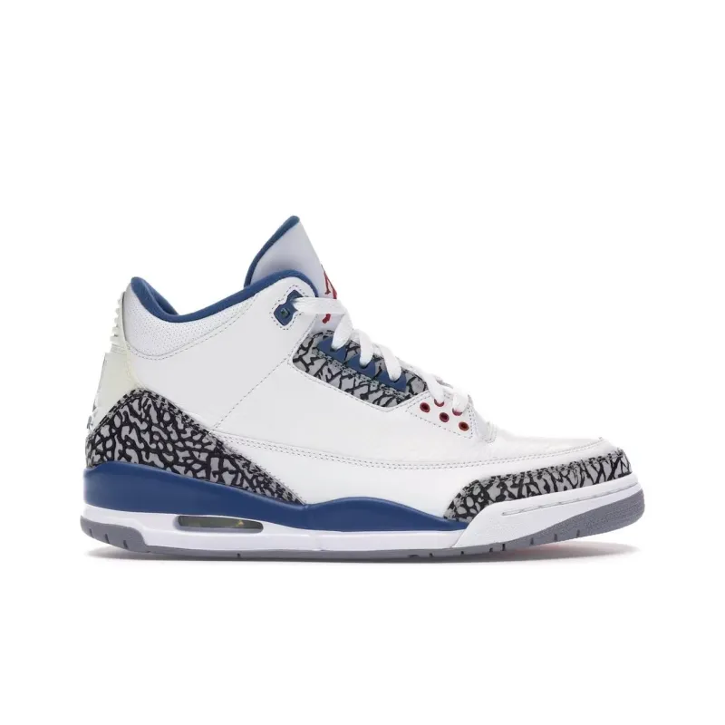 Jordan 3 Retro True Blue 2009-1
