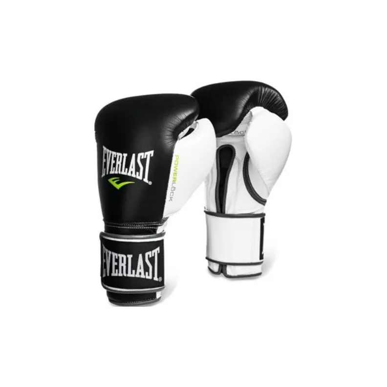 Everlast Boxing Gloves-6