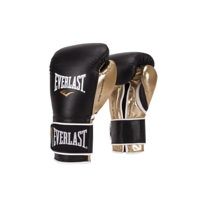 Everlast Boxing Gloves-0