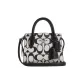 Bag+Dust Bag