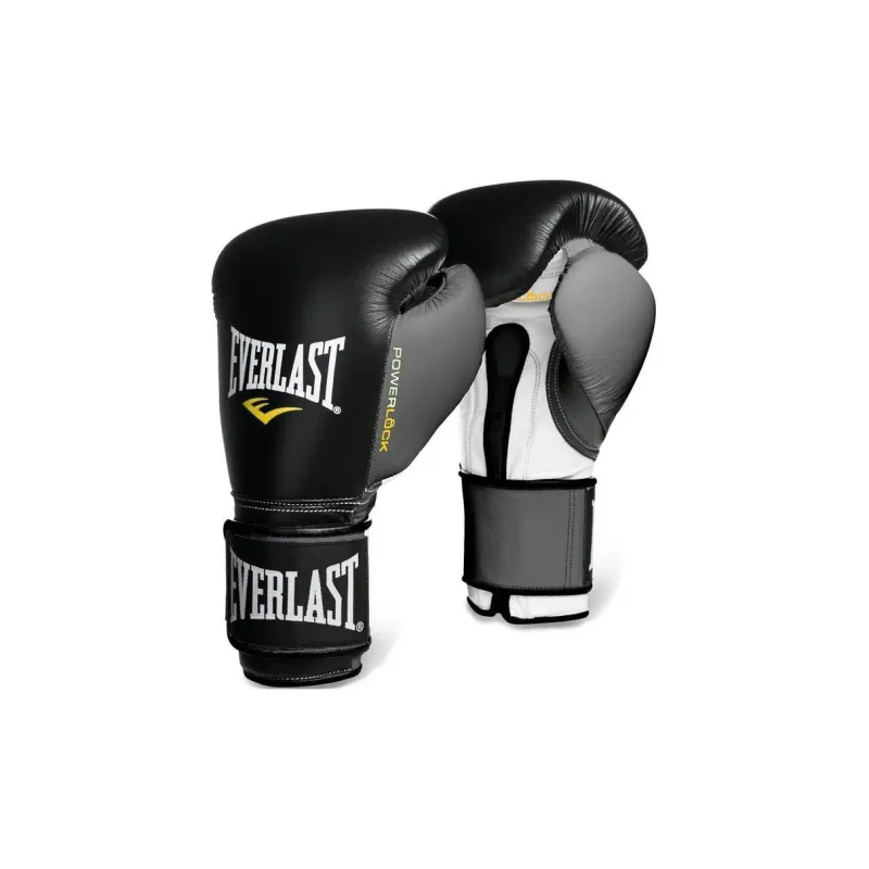Everlast Boxing Gloves-2