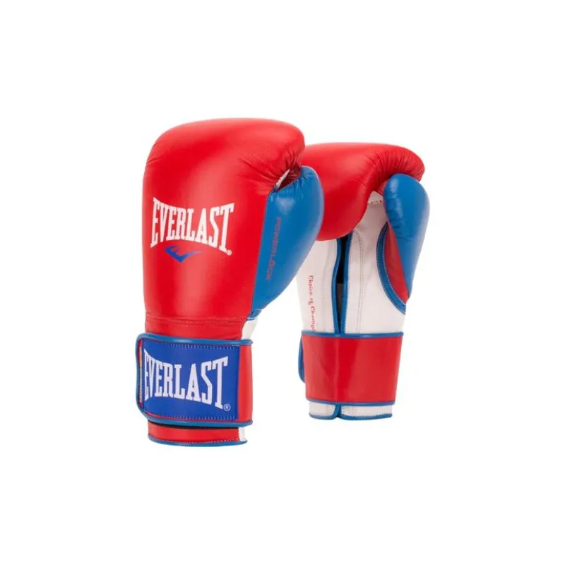 Everlast Boxing Gloves-5