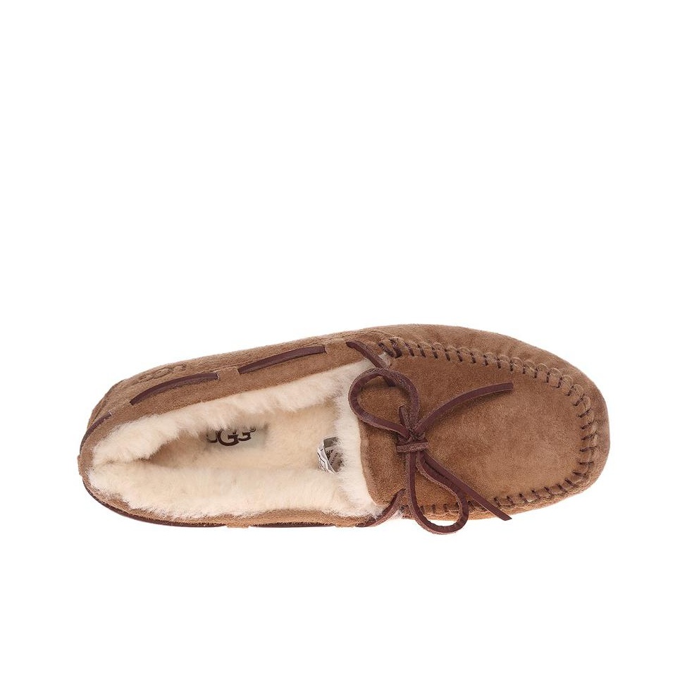 UGG Dakota Slipper Women's - POIZON