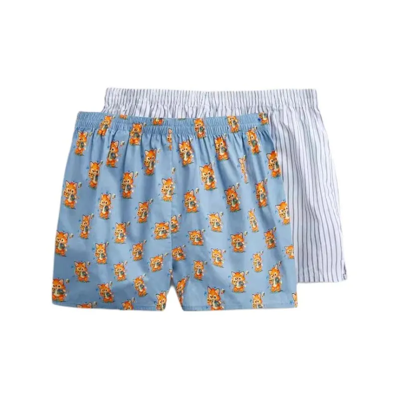 ZARA Men Underpants-1