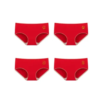 FENTENG Underpants Women's 4 Pack