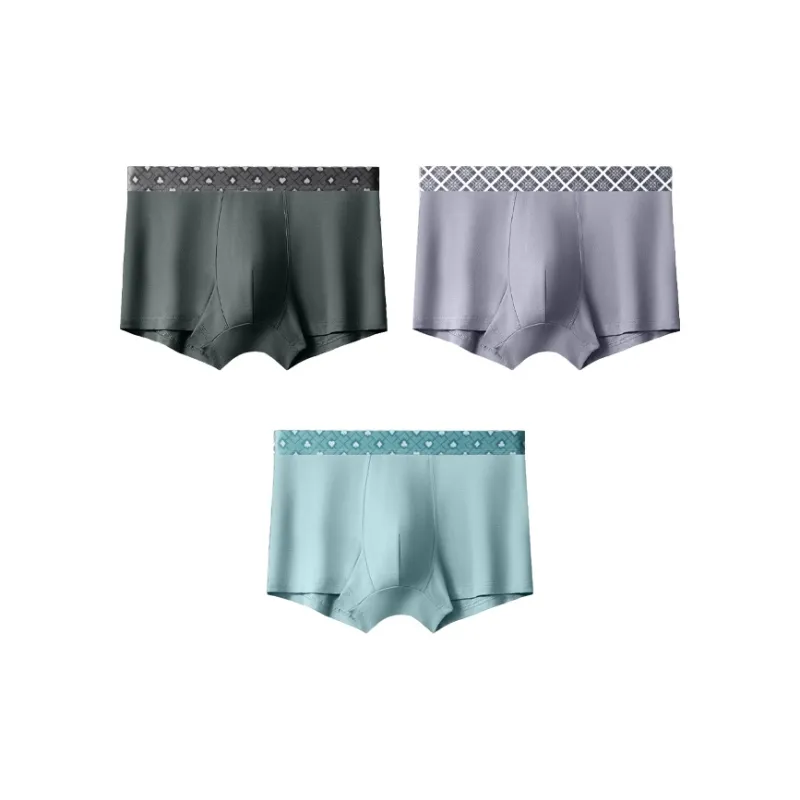 AUGTARLION Underpants Men's 3 Pack-4