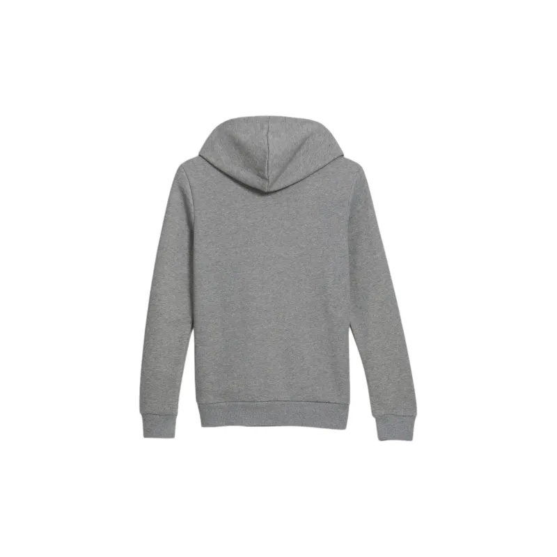 PUMA Iridescent Women's Hoodie Sweatshirt Women's Gray-1