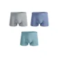 Light Gray/Purple/Light Green