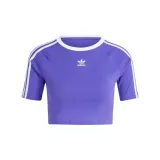 Blue Purple