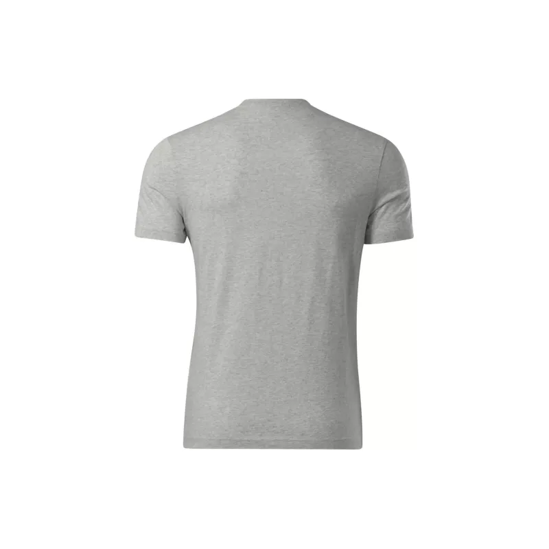 Reebok RI BIG LOGO TEE T-Shirt Men's Gray-1