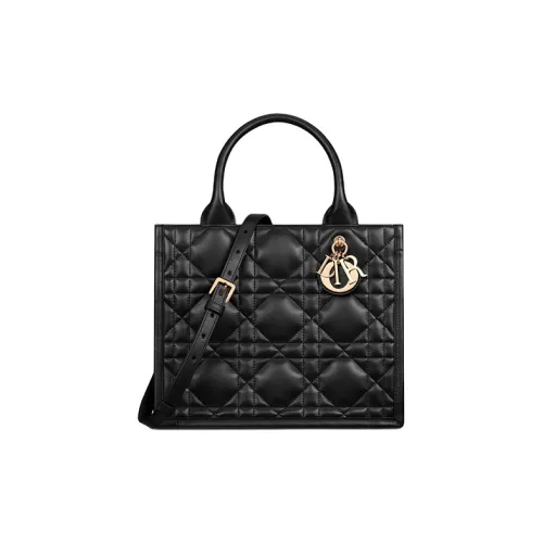 DIOR BookTote Handbags